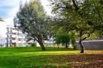 Additional Photo of Hermitage Court, Hermitage Lane, Childs Hill, London, NW2 2HA